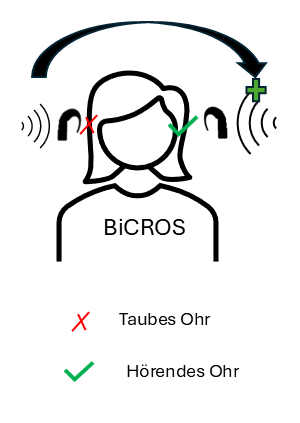Datei:BiCROS.png