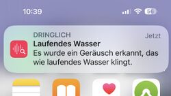 Auf einem Handydisplay dargestellter Kasten mit der Meldung: Dringlich, Laufendes Wasser. Es wurde ein Geräusch erkannt, das wie laufendes Wasser klingt.