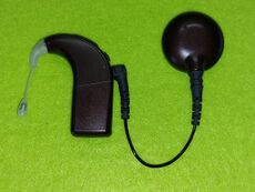 Brauner Sprachprozessor hinter grünem Hintergrund